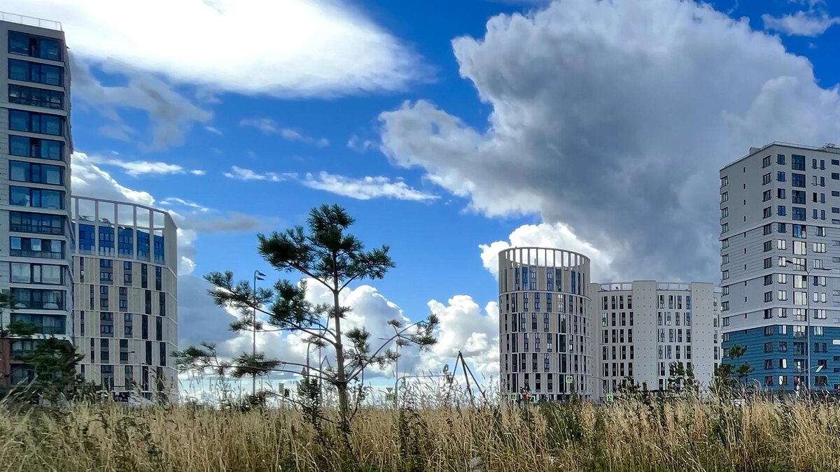    Фото: пресс-служба губернатора Санкт-Петербурга