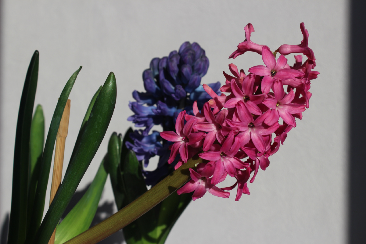 Моему сыну сейчас 9 месяцев, он здоров и развивается нормально. Но история, которую я расскажу, заставила меня серьезно пересмотреть отношение к составам косметики.