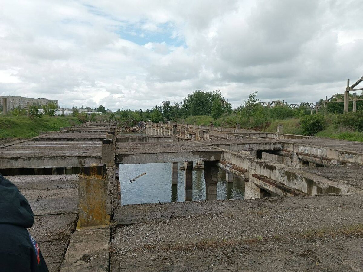 Фото: тг-канал Олеси Дворцовой