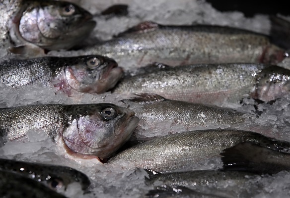 Фото: Владимир Гердо/ТАСС
