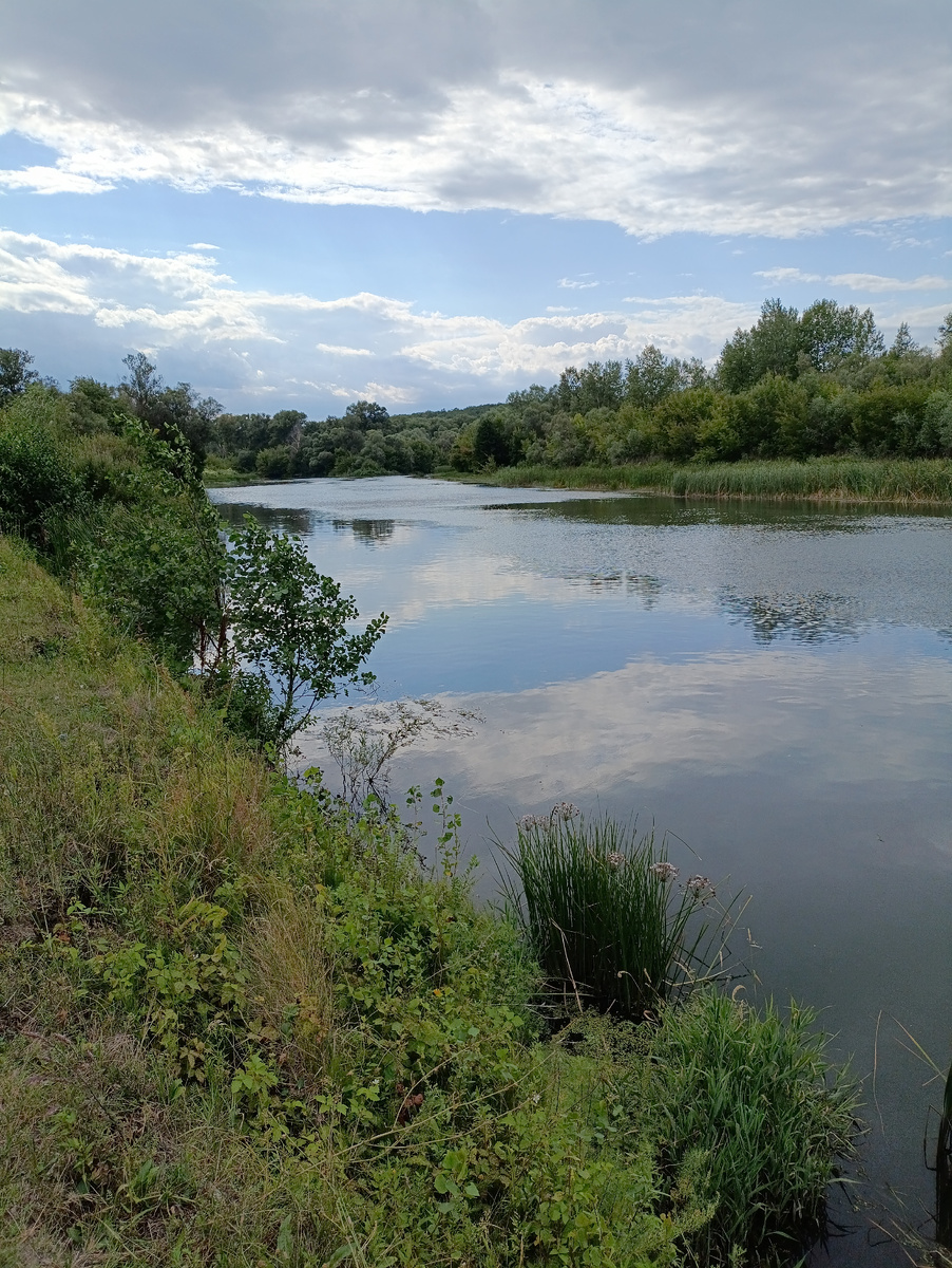 Наша Терешка