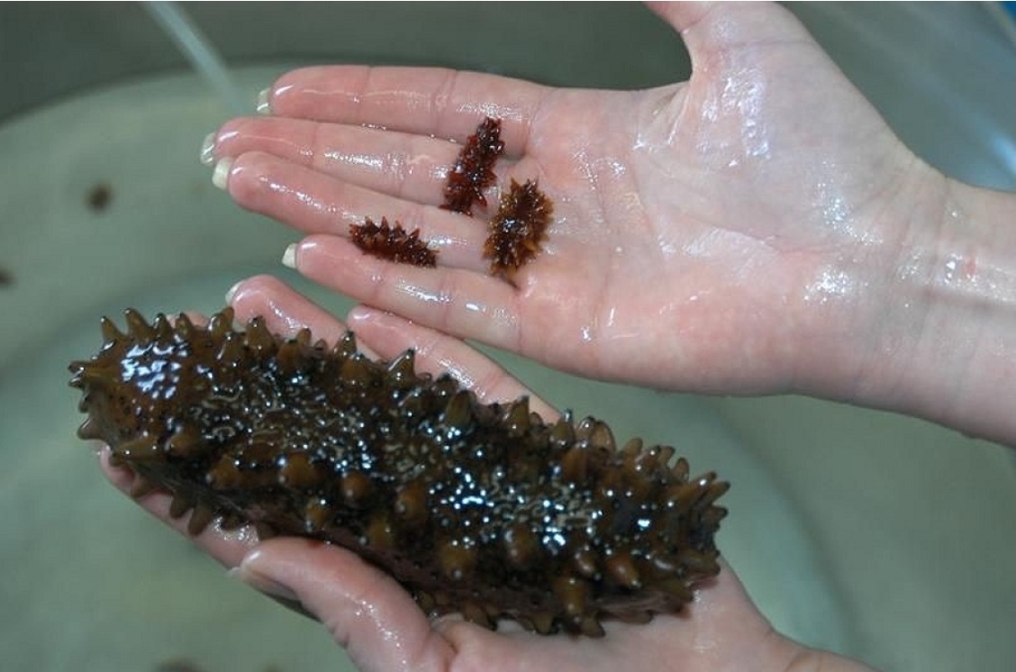 Фото из vladnews.ru