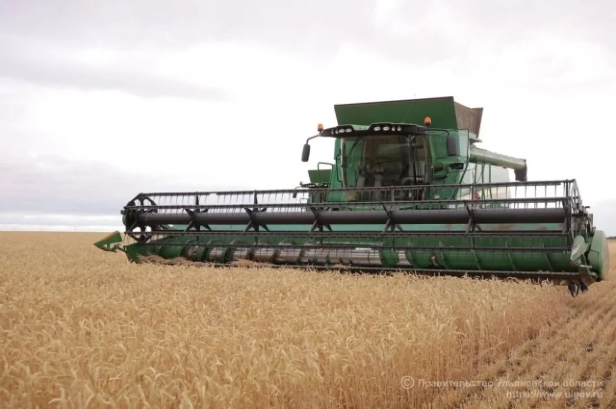    Ульяновские аграрии собрали более 1,4 млн тонн зерна