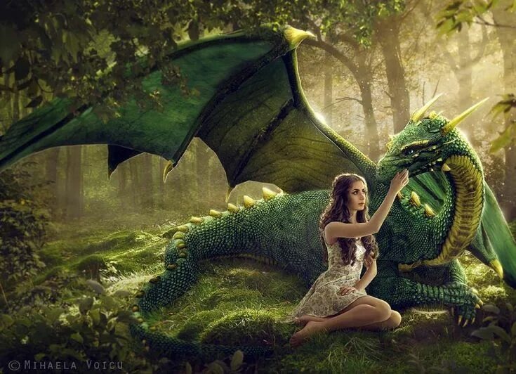 Фото взято из интернета 