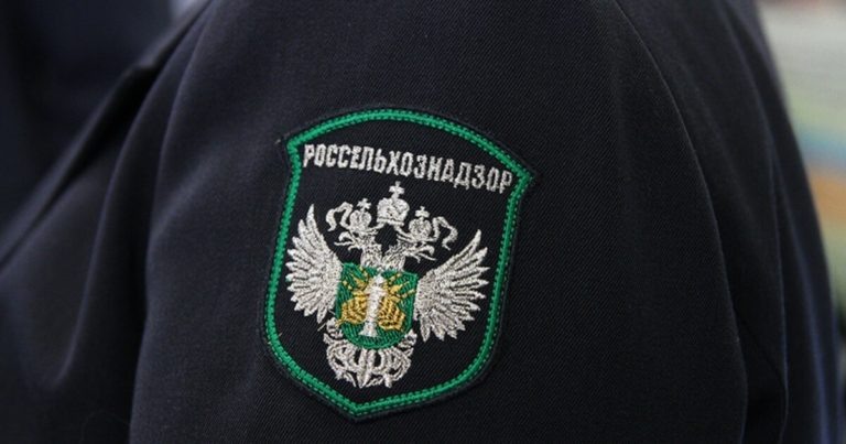    В Оренбуржье выявили 255 недостоверных деклараций на зерно Антон Пичурин