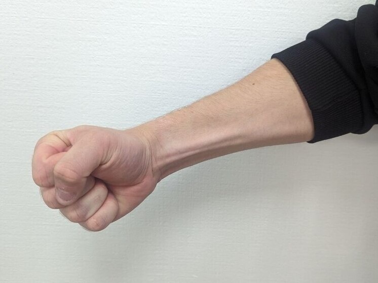     Фото: «МК в Ленобласти».