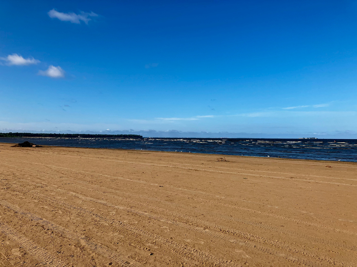 Фото автора. Август 2025 г. Утро на заливе. 