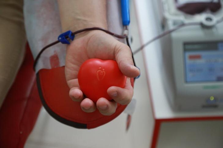    Фото из архива VN.ru