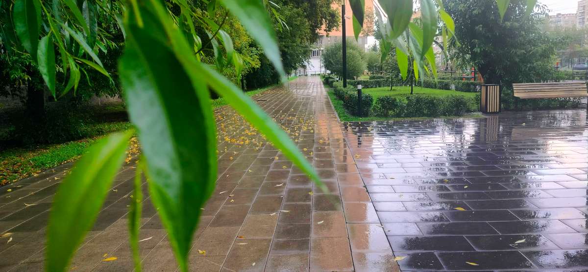  Главное правило реальности — не запутаться в своих иллюзиях. Фильм К. Нолана  "Начало 