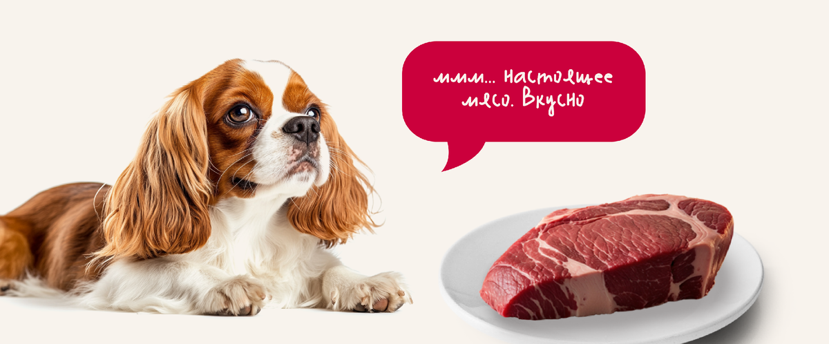 Mealfort сухой корм для взрослых собак 