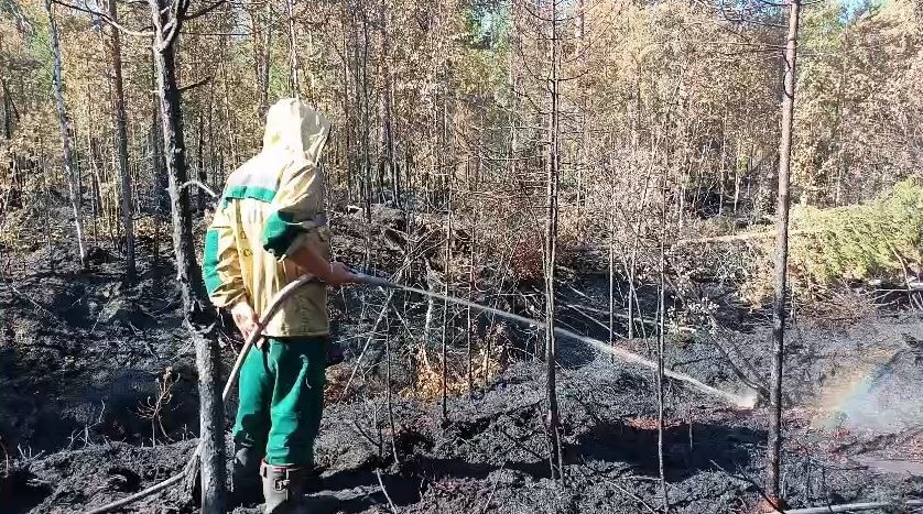    Фото: Минприроды Карелии