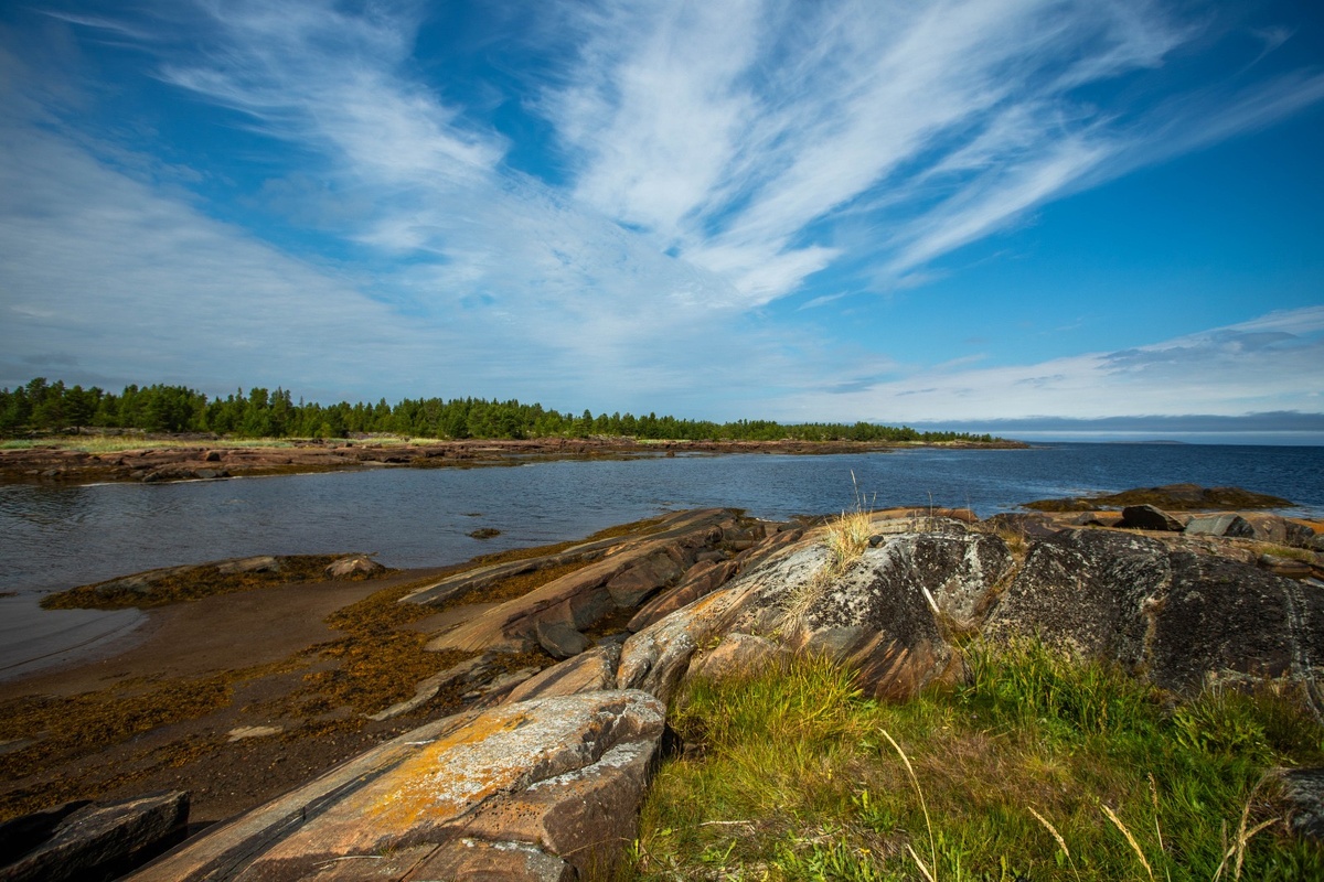 Фото: Александр Панов.
