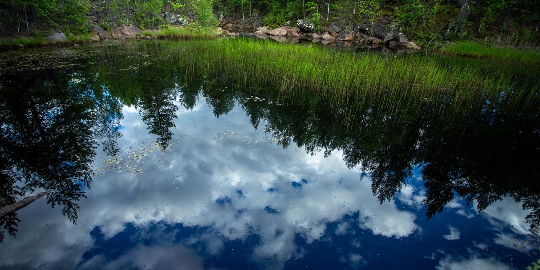 «Малая чума». Страшная северная сказка про странную болезнь