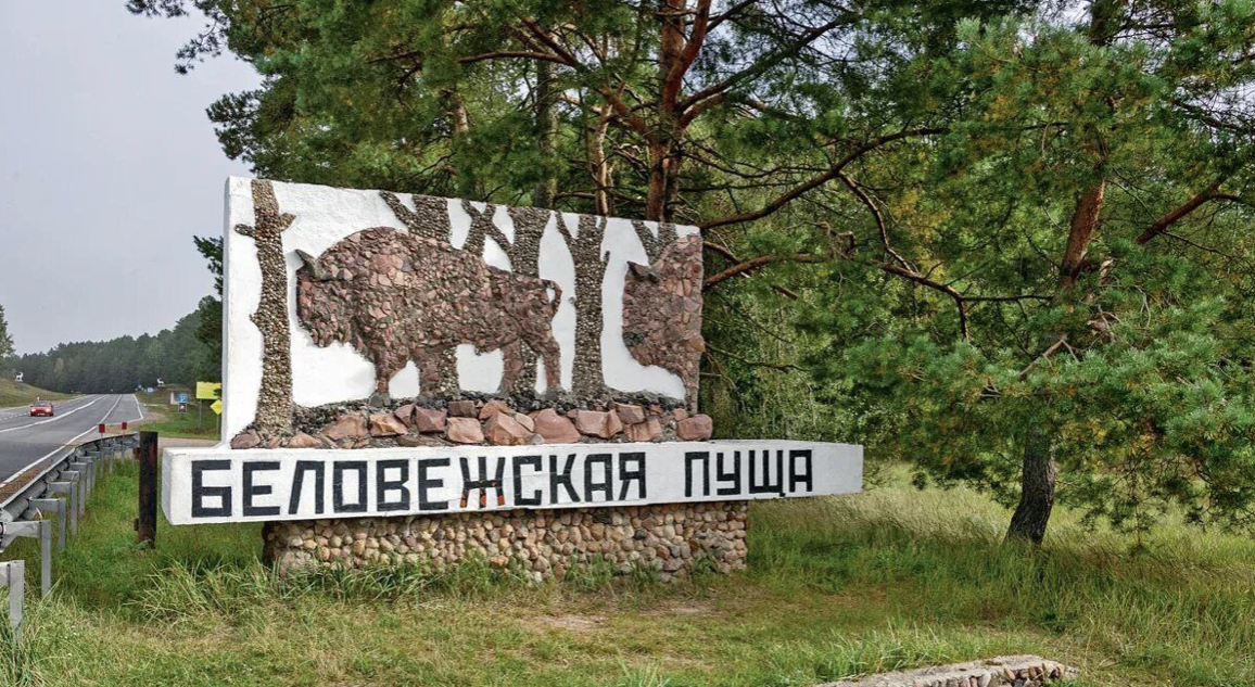 Источник https://du78.pervroo-vitebsk.gov.by/родителям/воспитываем-патриота