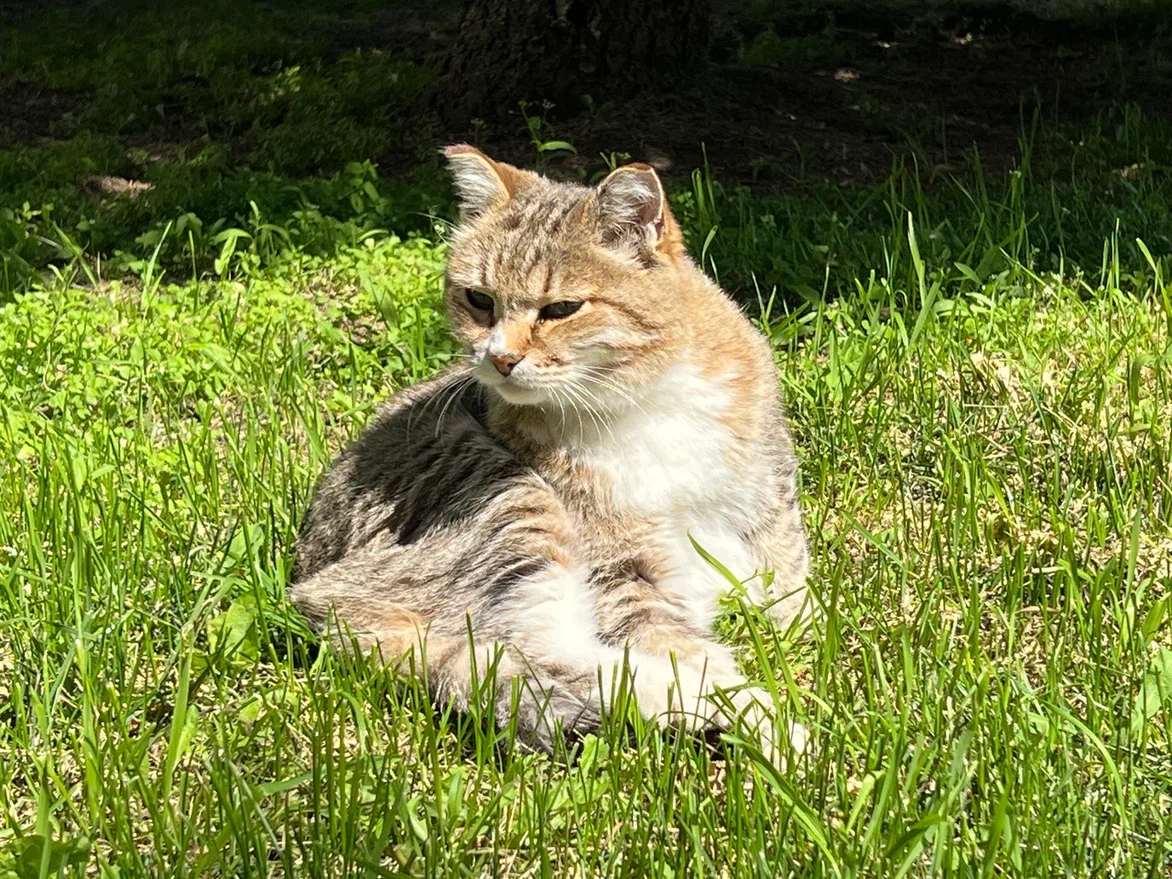 Фото автора