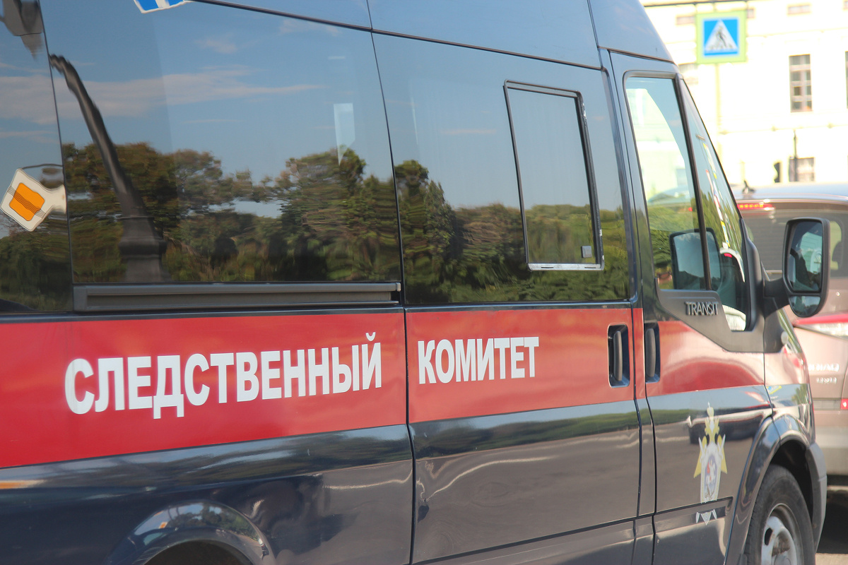    Фото: Артём Шляхов Источник: RuNews24.ru