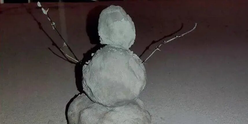    Последствия пеплопадаВсе фото к статье: Кроноцкий заповедник / скриншоты видео из группы "ВК" "ЧП Камчатка" / t.me/kbgsras