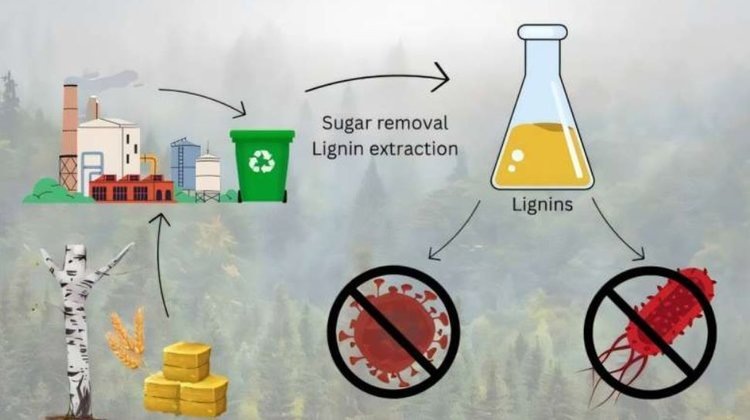    Фото: University of Jyväskylä