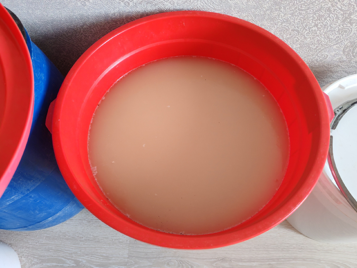 Созревшая брага.