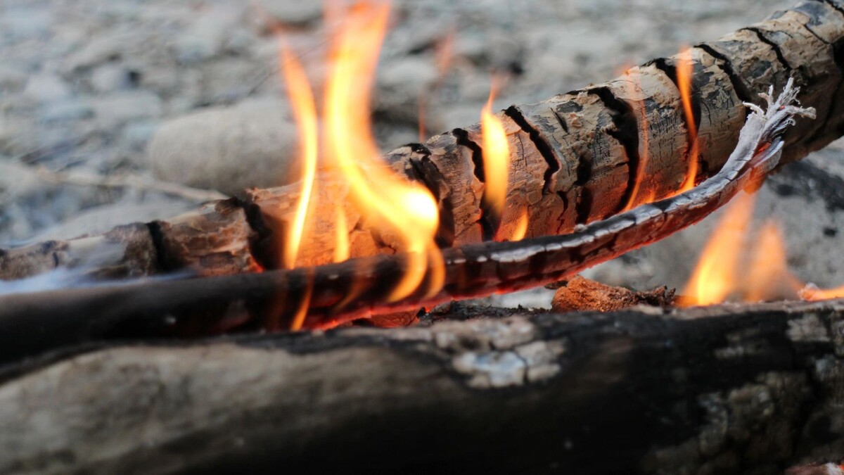    Фото: Olzhas Nurgaliyev/Shutterstock/Fotodom