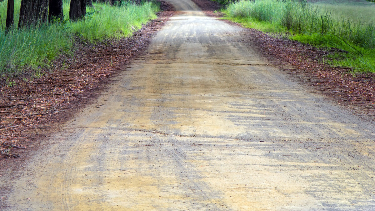 Грунтовая дорога © CC0 / PxHere