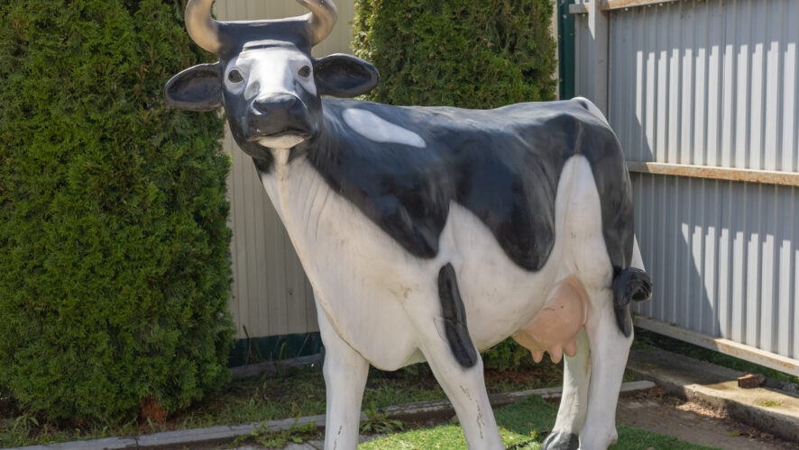    Фото: KazanFirst