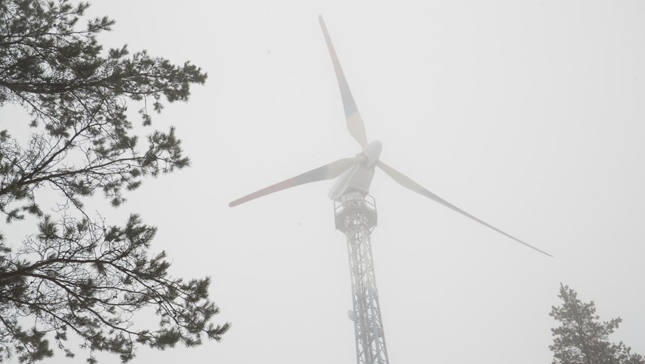    Автор фото: Антон Ваганов