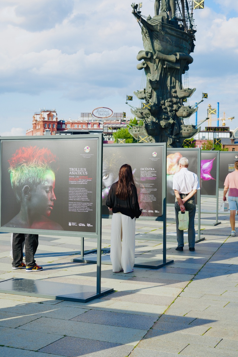 Фото: фонд "Мои друзья"