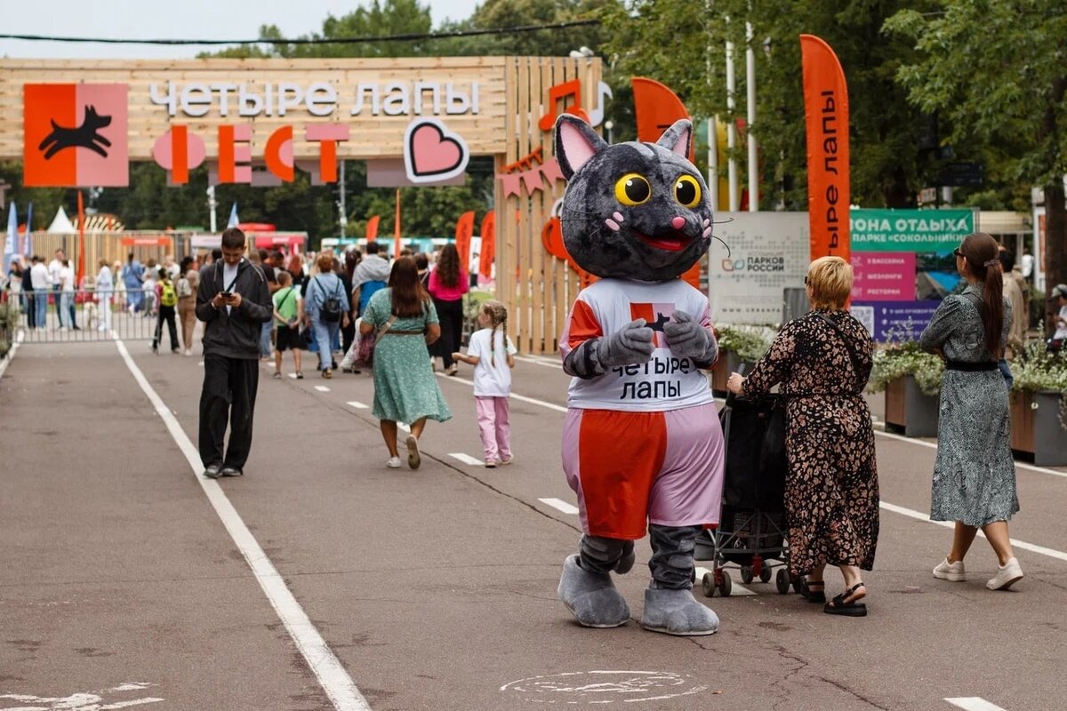    Фото: Unsplash, архив пресс-службы