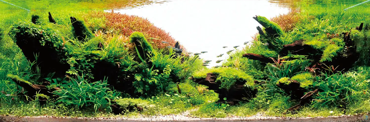 Или вот такая конкурсная работа - в ней использованы достаточно "жирные" коряги. Походят даже на камни!