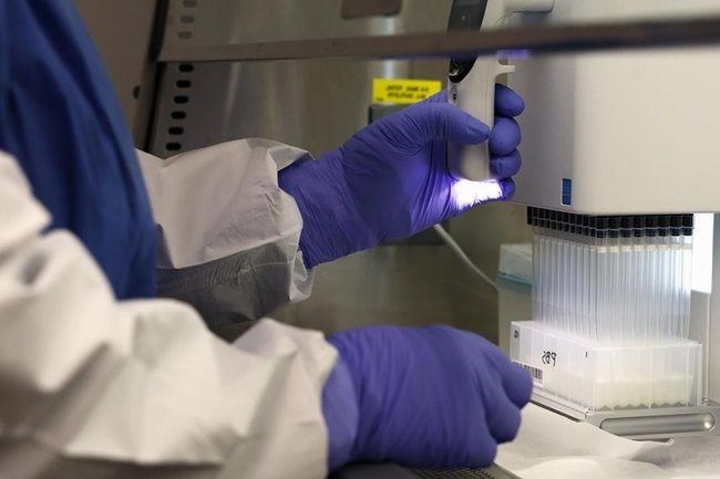    Фото: Michael M. Santiago / Getty Images