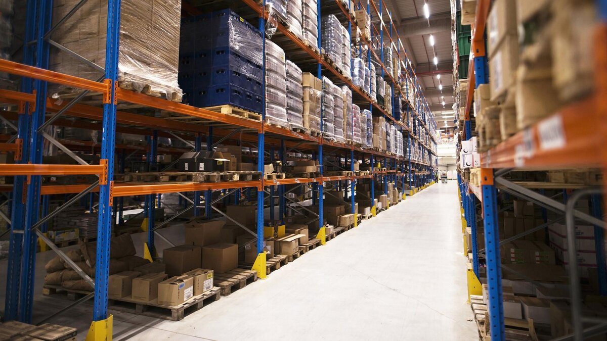    Фото: freepik.com/aleksandarlittlewolf