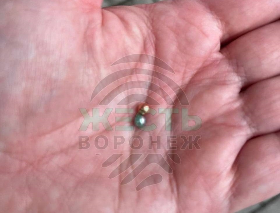     Фото: zhest_voronezh_136