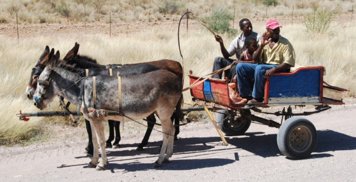 Африканцы, на чьей земле расположены баснословные богатства, ничего и не узнали о перераспределении алмазного рынка / Фото: pxhere.com