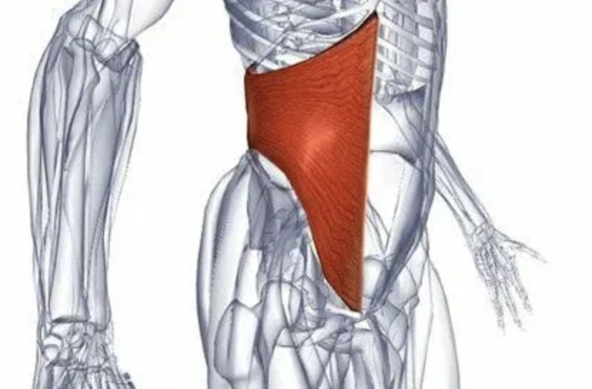 И работающая со всеми слоями мышц тела корректно, бережно и удобно