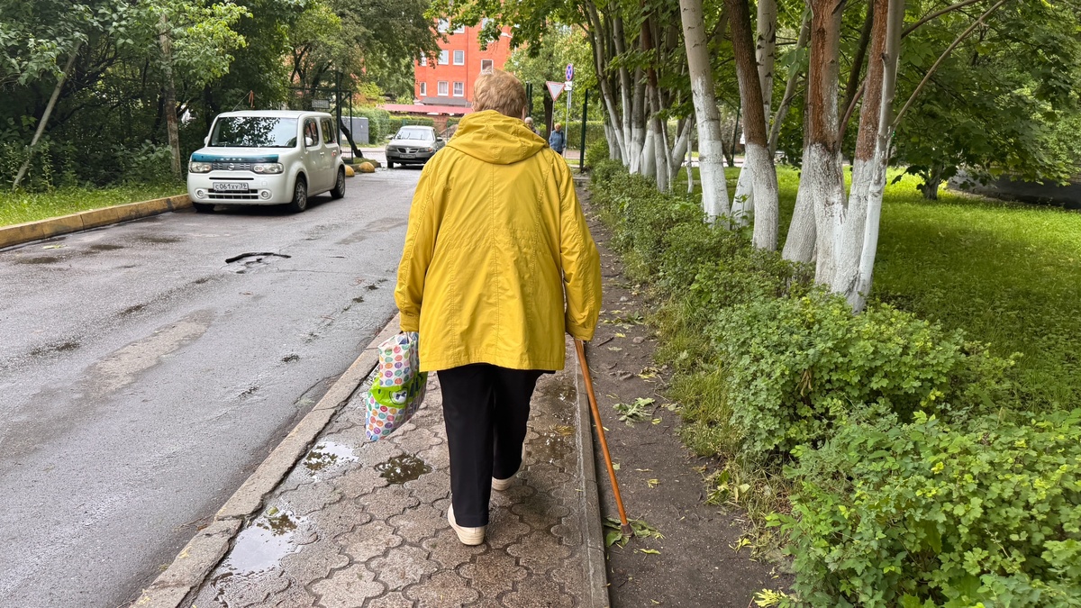    Какая пенсия в 2025 году у тех, кто никогда не работал