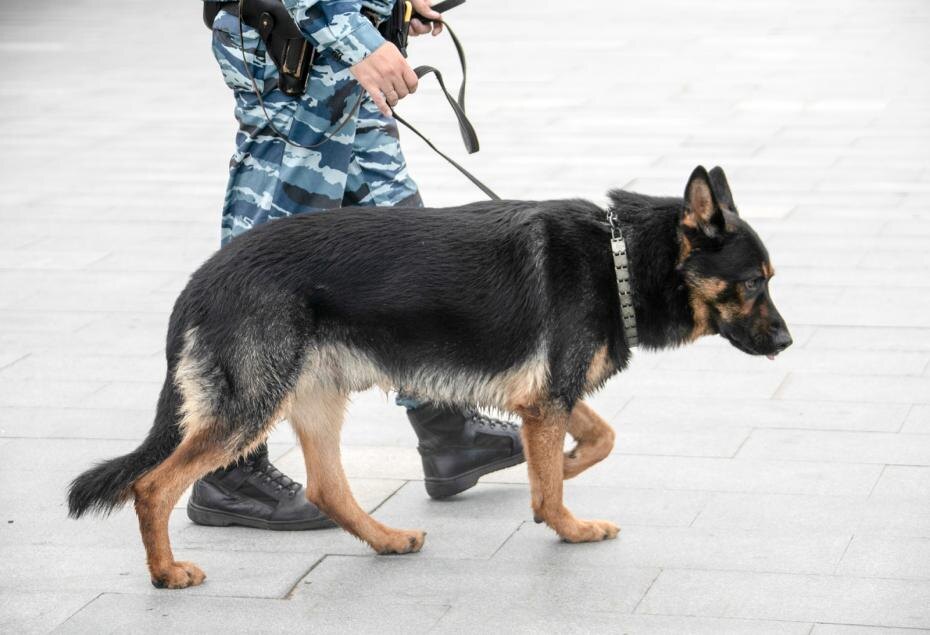    Александра Погиба/NEWS.ru