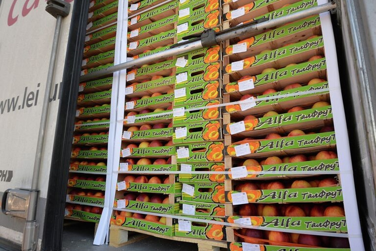    Фото: Виктор Толочко, источник: ria.ru