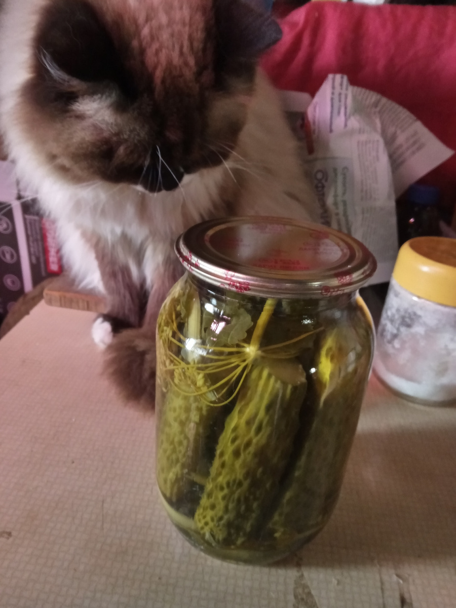 Это второй визит для фотосессии с готовым продуктом"Это не тушенка? Тогда зачем!?"