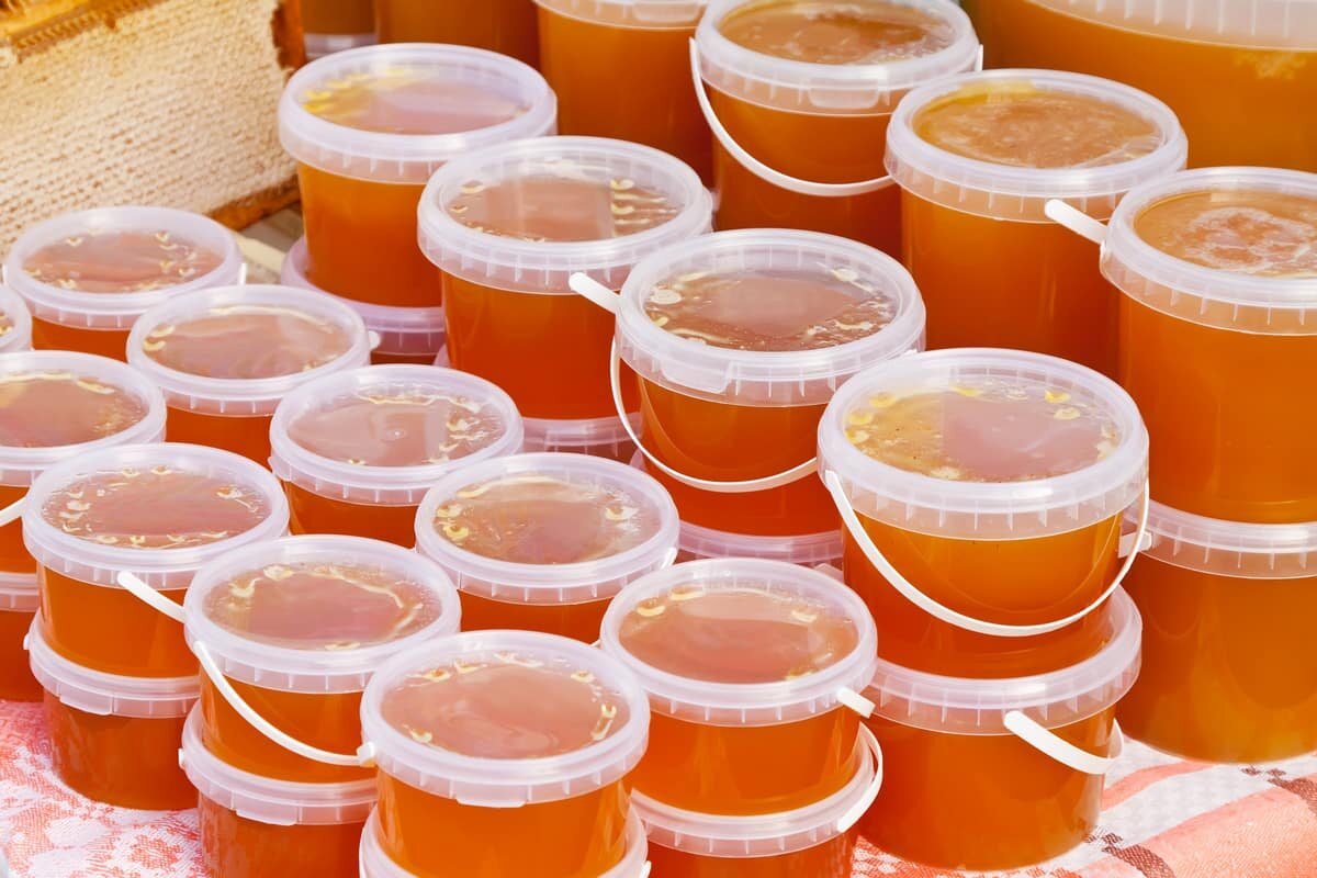   Изображение от bearfotos на Freepik