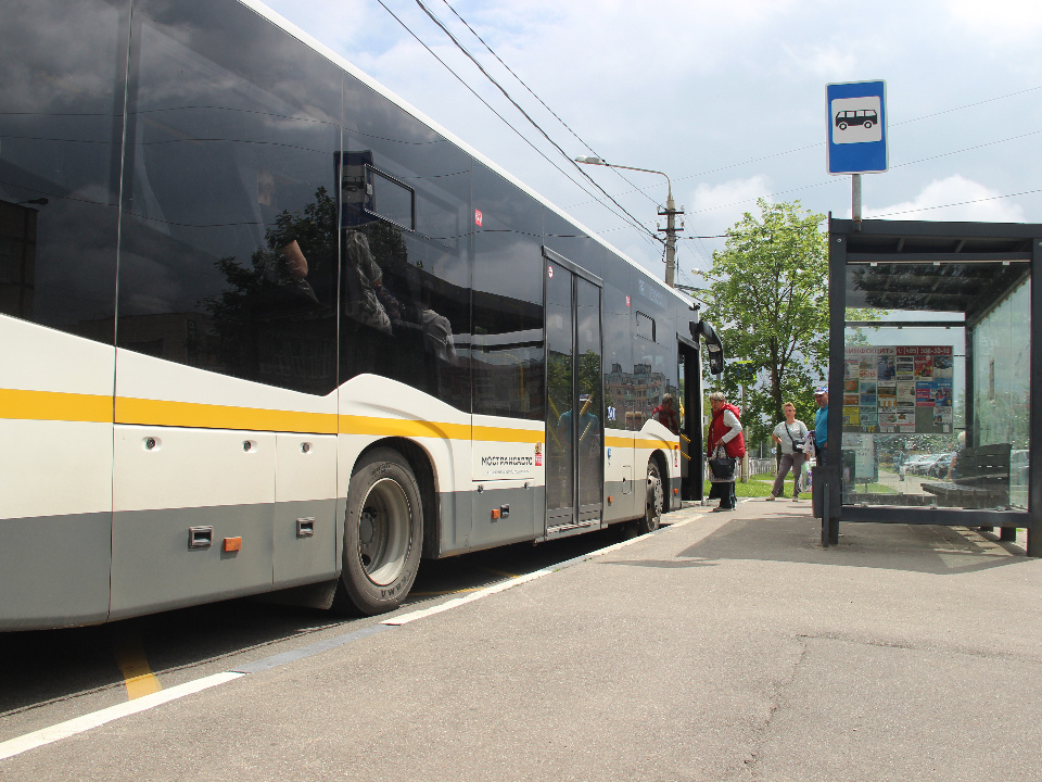    Фото: REGIONS/Василий Тремасов