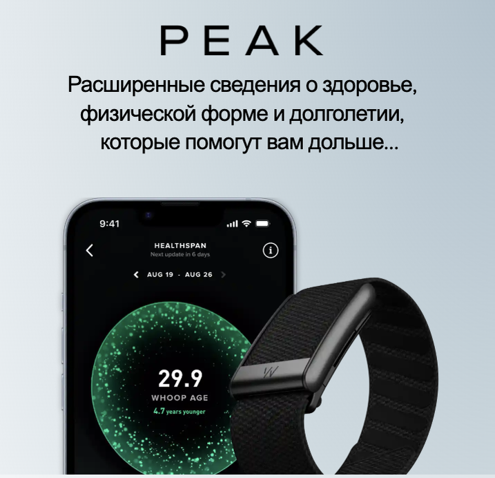 Источник изображения whoop.com