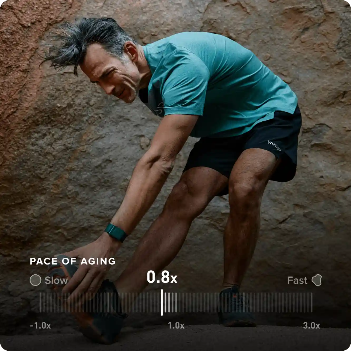 Источник изображения whoop.com