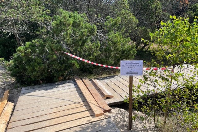   Фото: телеграм-канал нацпарка «Куршская коса»