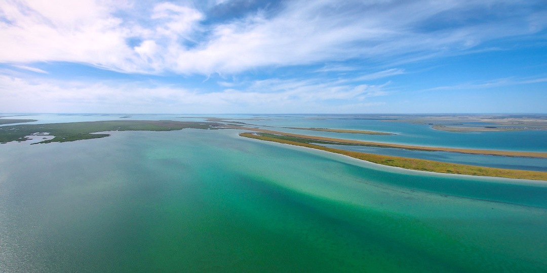 Озеро Чаны — остаток древнего моря в Сибири
