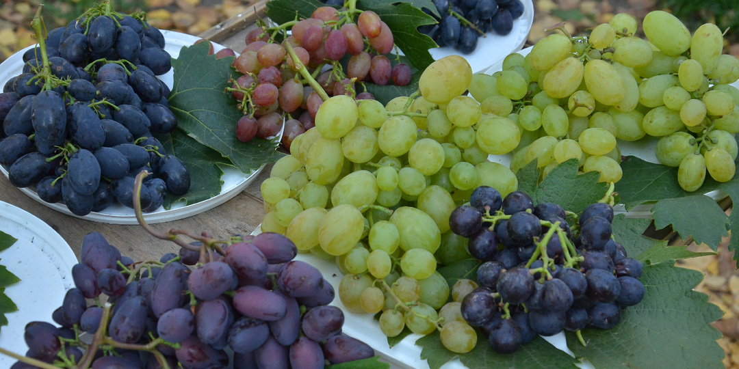 Уже не экзотика