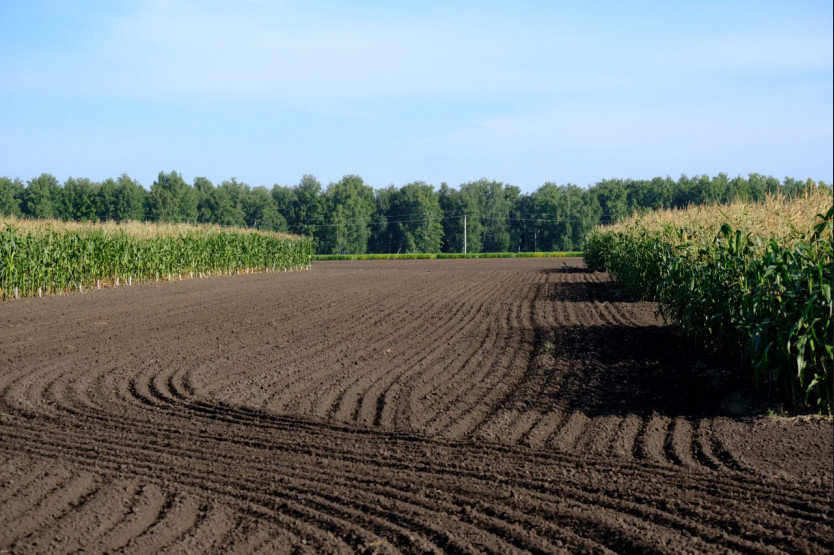    Фото: правительство НСО