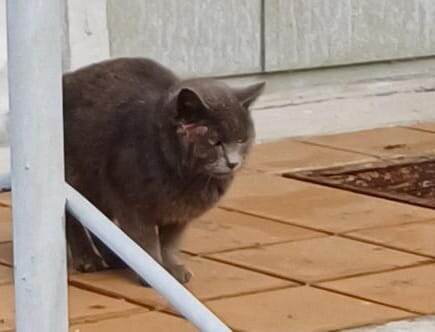 Жизнь на улице 