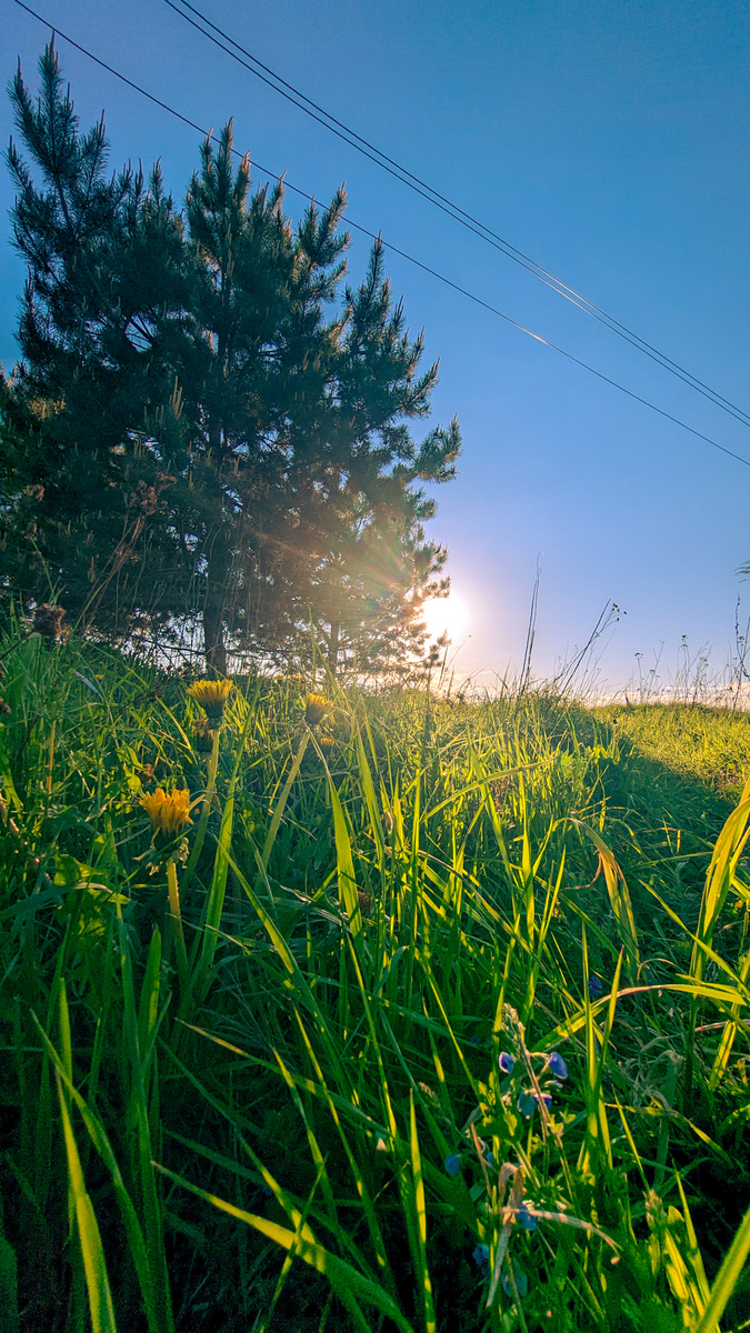 Красота природы