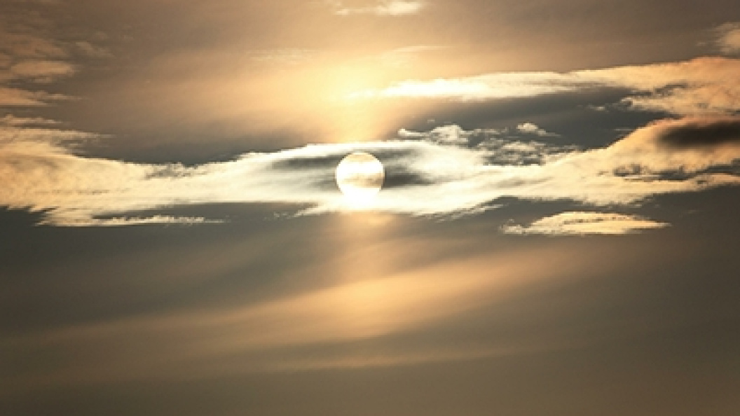    Nikolay Gyngazov/Globallookpress